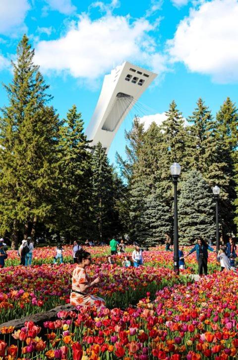 Suite Mont-Royal By Mtlvacationrentals Montréal Buitenkant foto